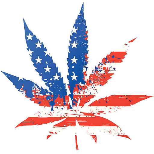Weedstores.US Logo