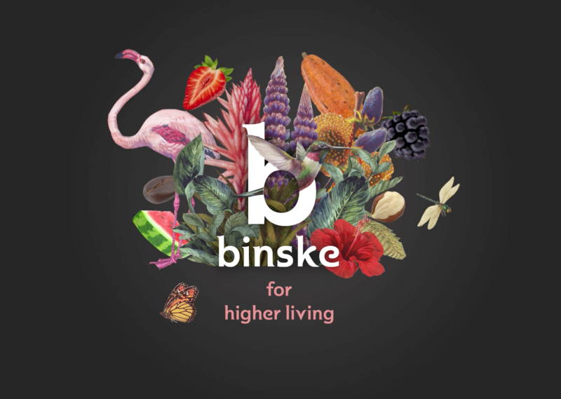 Logo for img-fluid: Binske