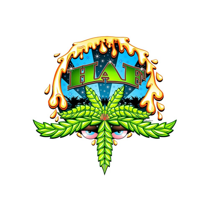 Logo for img-fluid: HAF