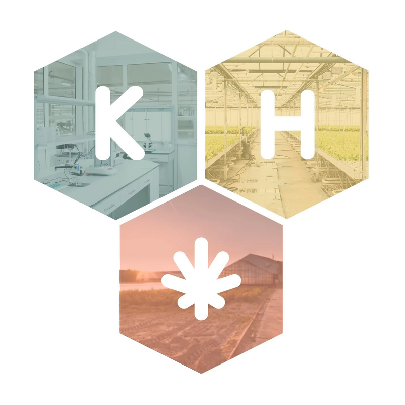 Logo for img-fluid: Kinda High