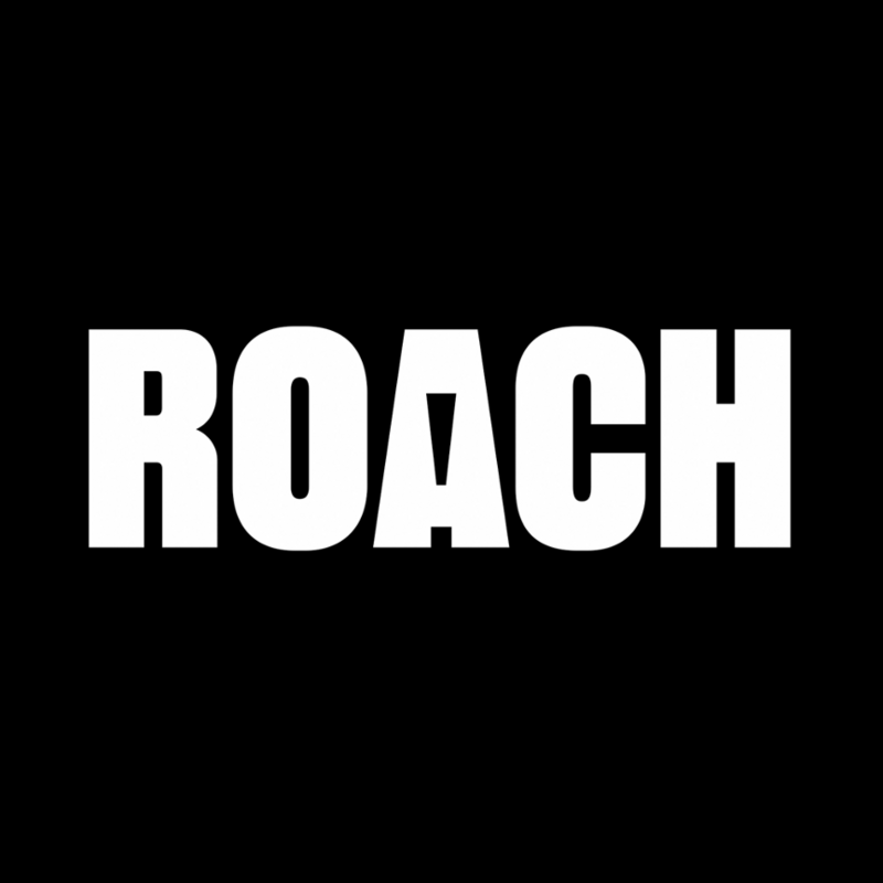Logo for img-fluid: ROACH