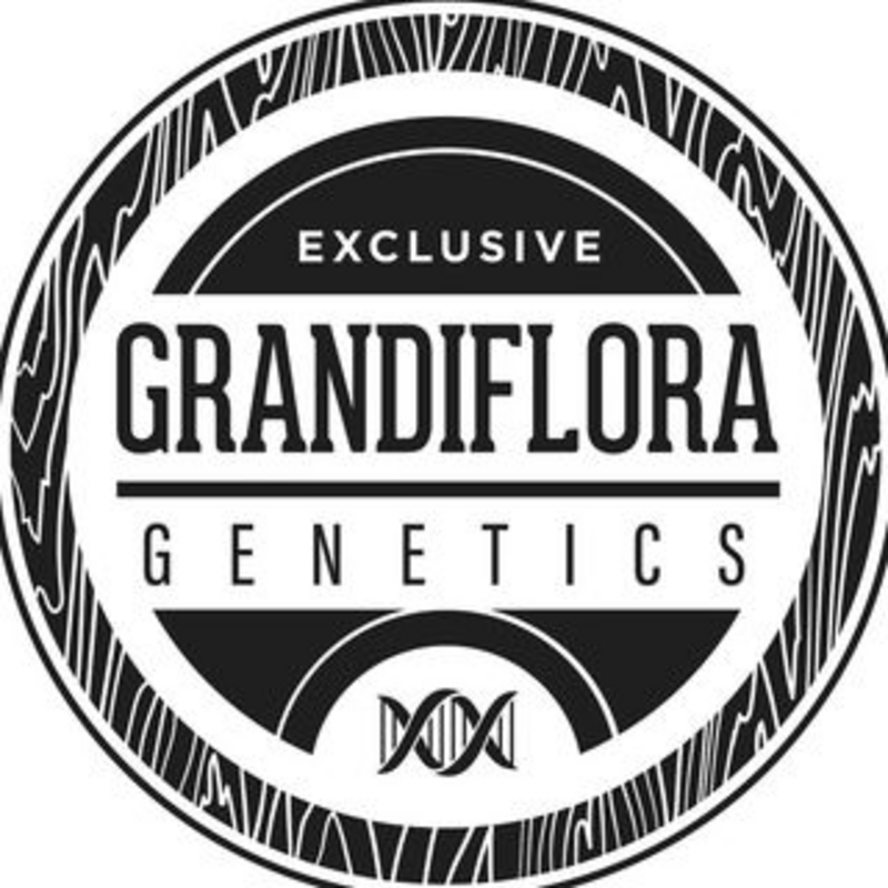 Logo for img-fluid: Grandiflora