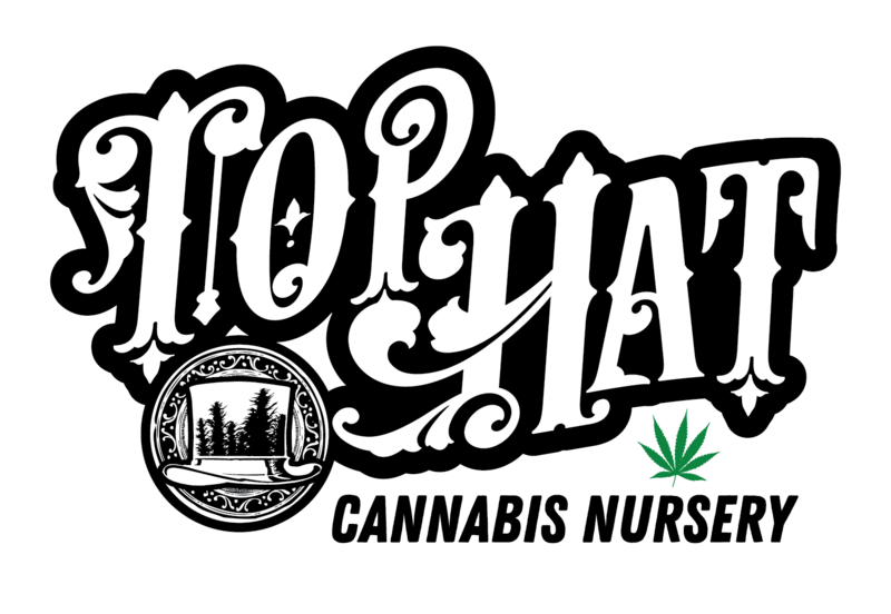 Logo for brandLogo: Top Hat Nursery