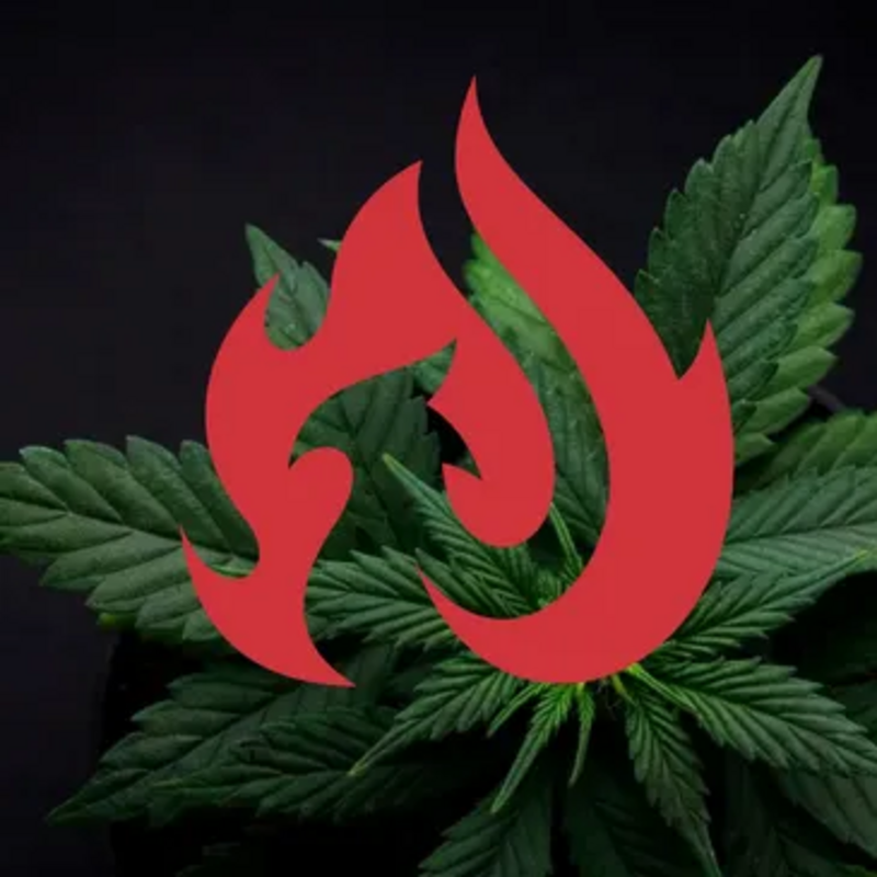 Logo for brandLogo: 530 Grower