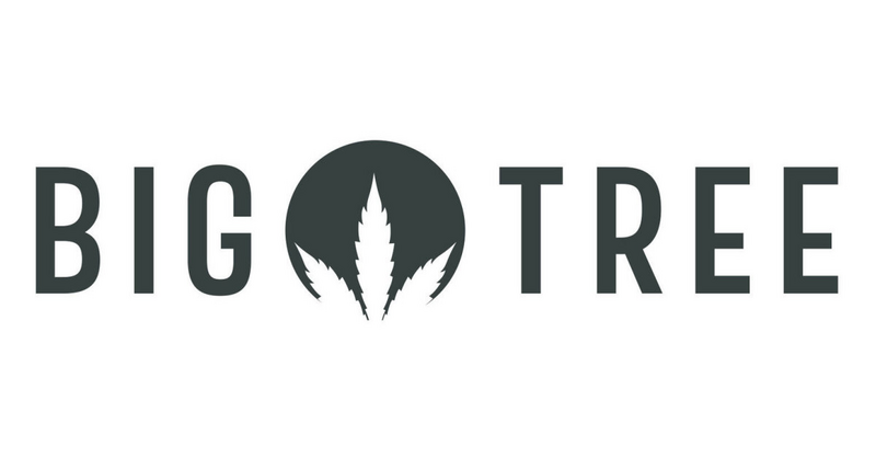Logo for img-fluid: Big Tree