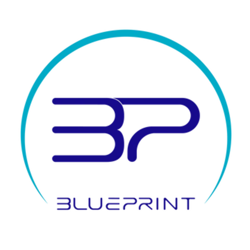 Logo for brandLogo: Blue Print