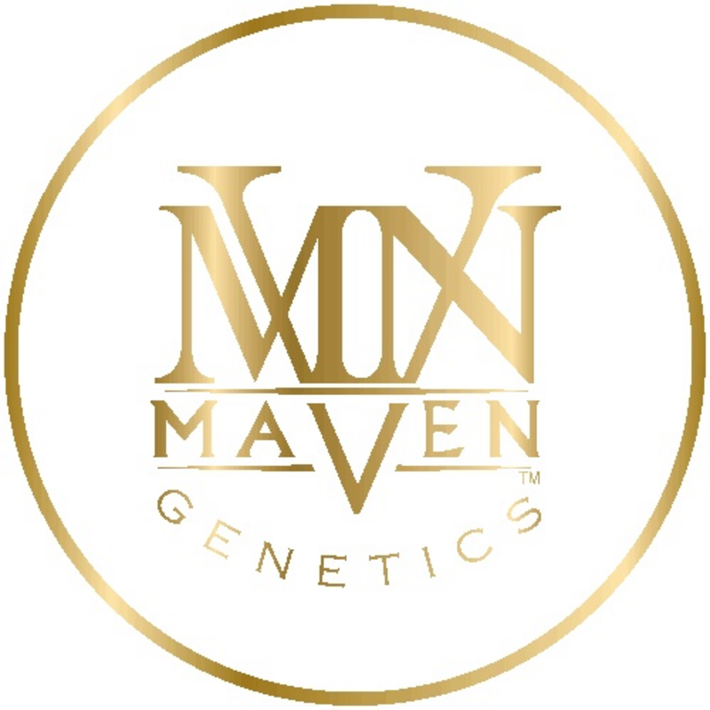 Logo for img-fluid: Maven
