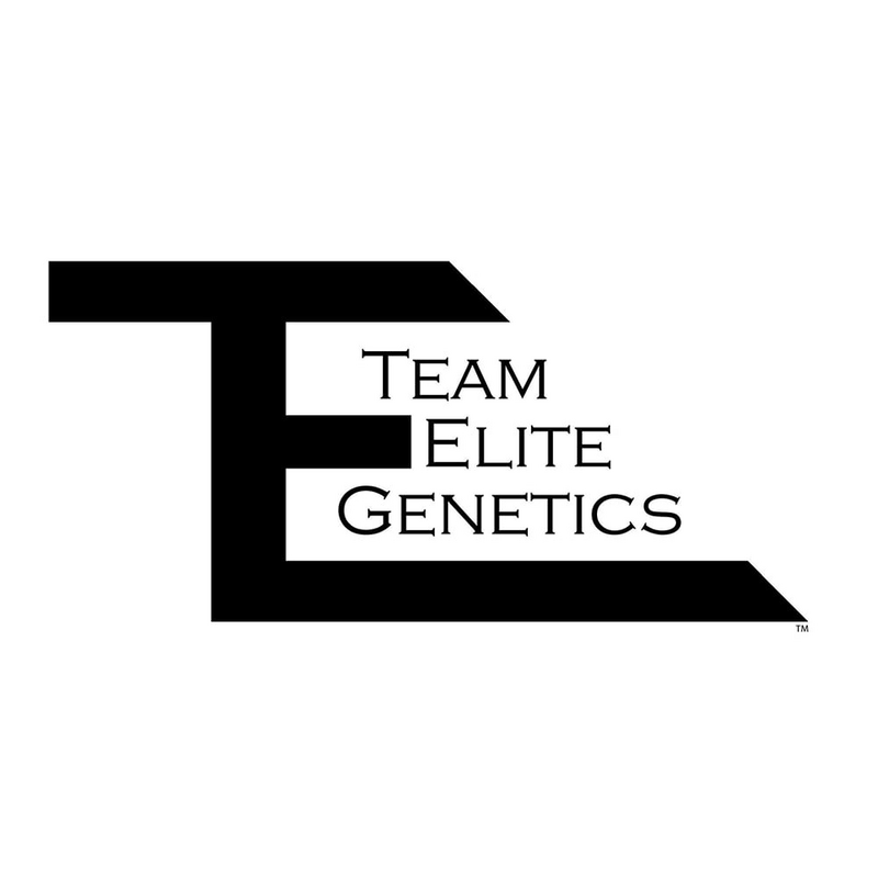 Logo for img-fluid: Team Elite Genetics