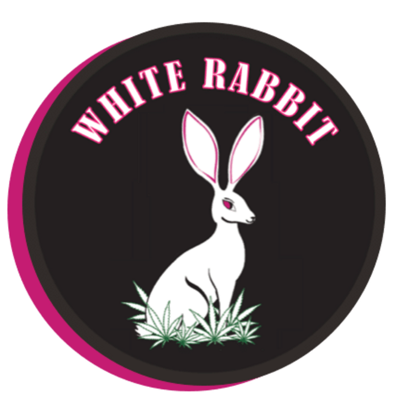 Logo for img-fluid: White Rabbit