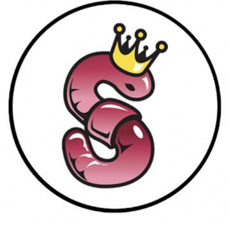 Logo for img-fluid: No Till Kings