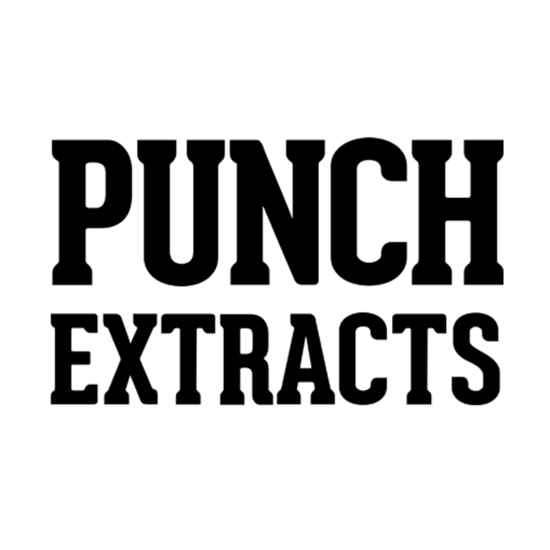 Logo for img-fluid: Find Punch.com