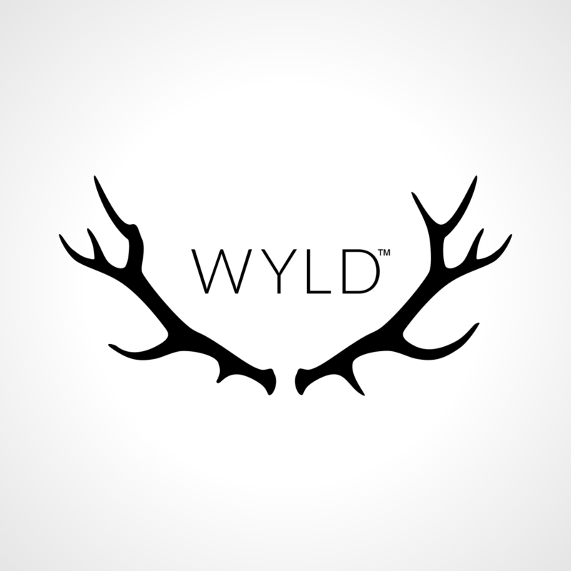 Logo for img-fluid: Find Wyld