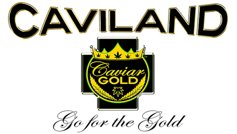Logo for cardStoreLogo img-fluid: Cavi Land