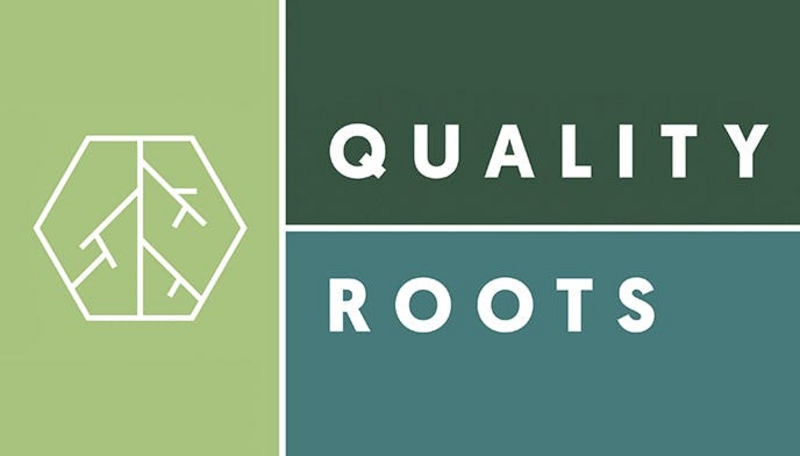 Logo for cardStoreLogo img-fluid: Quality Roots - Battle Creek