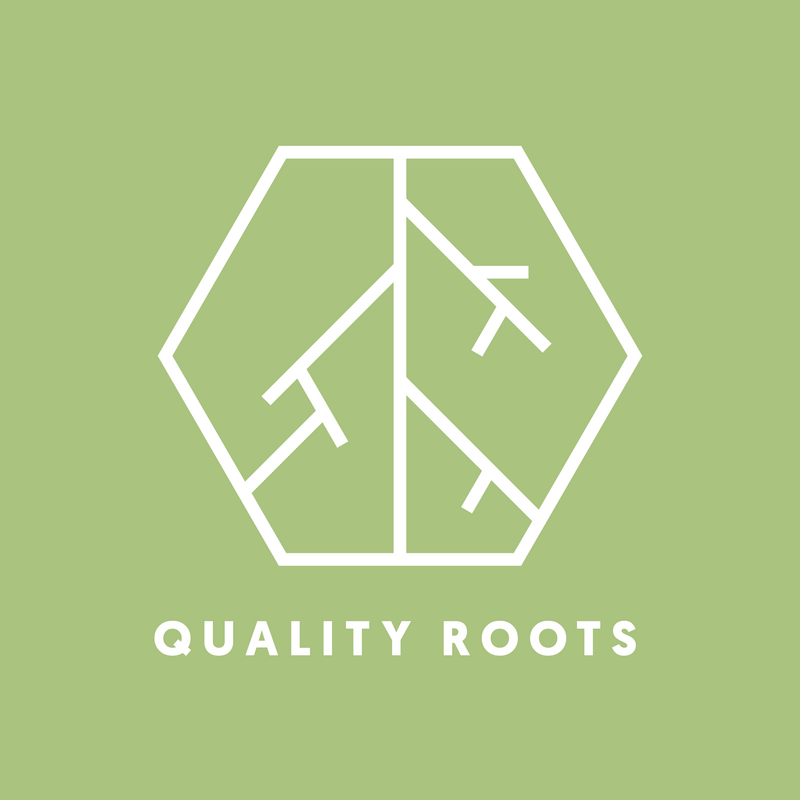 Logo for cardStoreLogo img-fluid: Quality Roots - Detroit