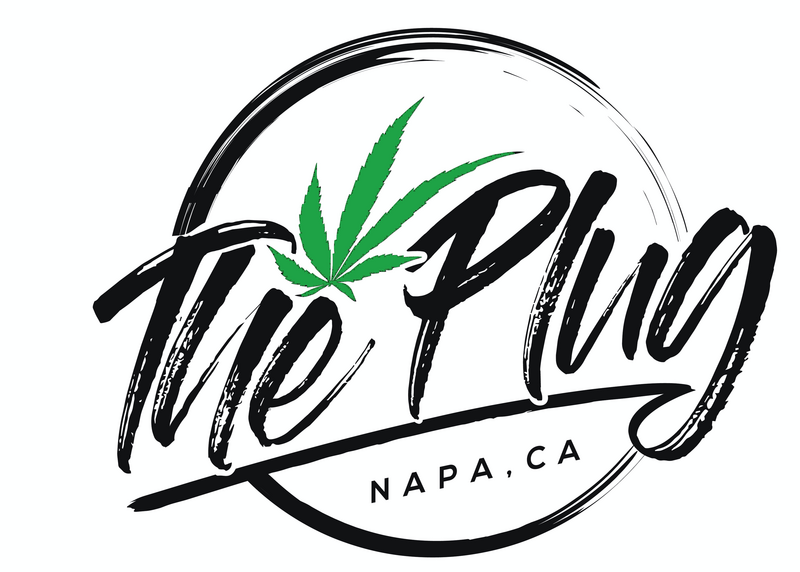 Logo for cardStoreLogo img-fluid: The Plug