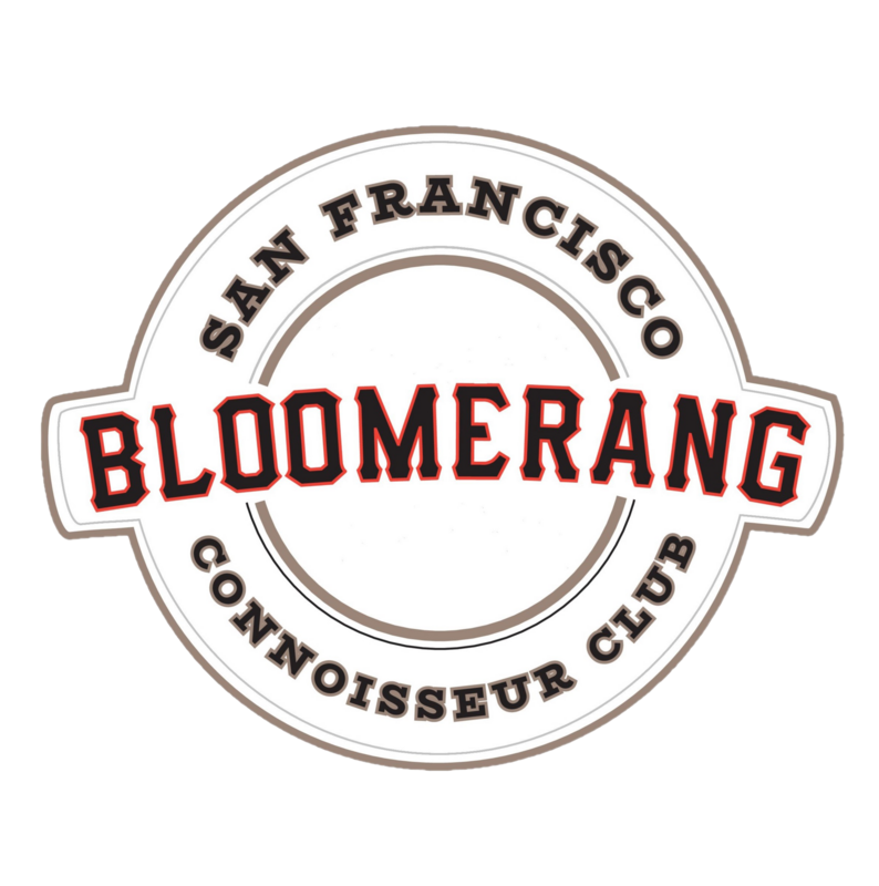 Logo for cardStoreLogo img-fluid: Bloomerang