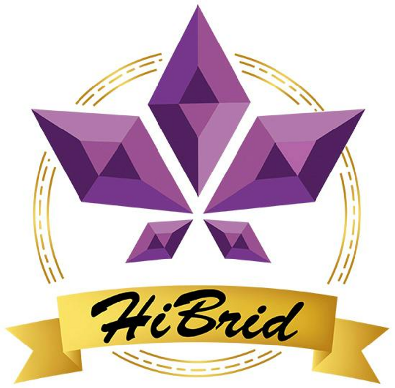 Logo for cardStoreLogo img-fluid: HiBrid