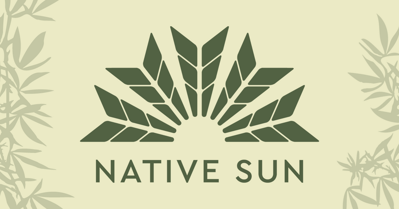 Logo for cardStoreLogo img-fluid: Native Sun