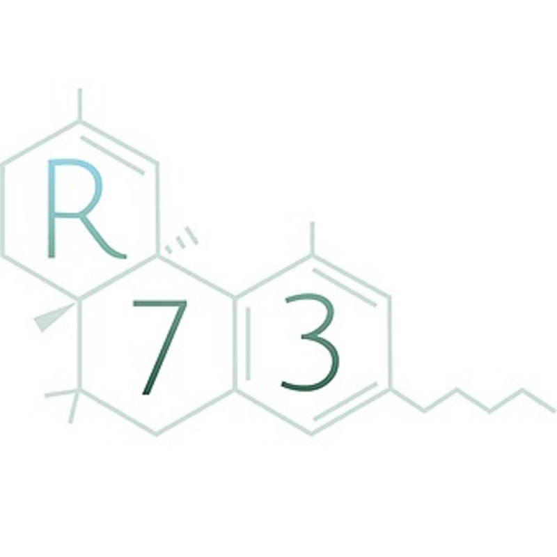 Logo for cardStoreLogo img-fluid: Reverie 73 - Lowell