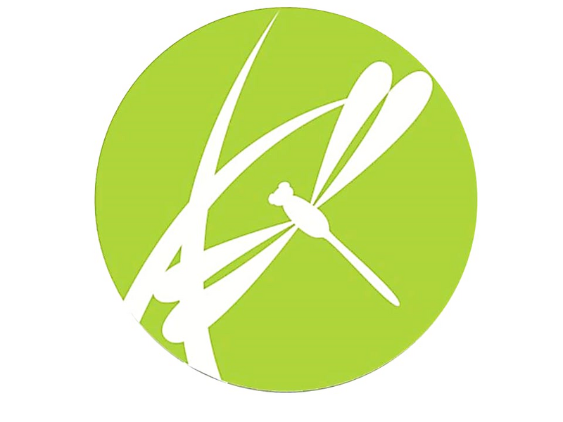 Logo for cardStoreLogo img-fluid: Dragonfly Wellness Center