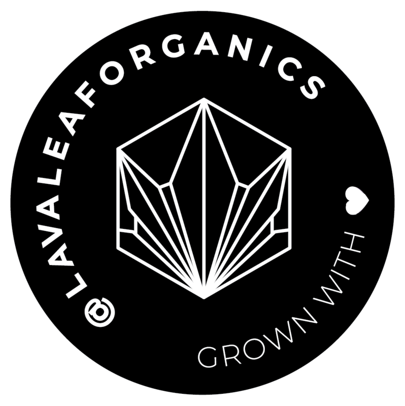 Logo for cardStoreLogo img-fluid: Lava Leaf Organics Dispensary