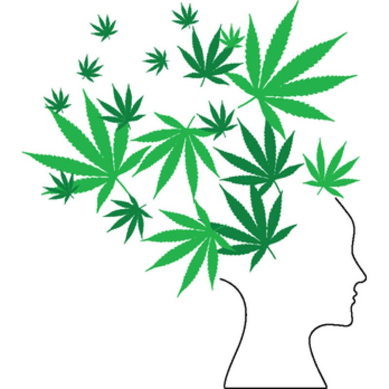 Logo for cardStoreLogo img-fluid: Amnesia Dispensary & Accessories. Med & Rec