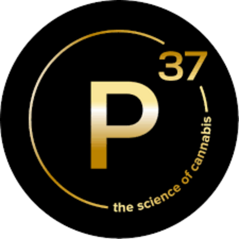 Logo for cardStoreLogo img-fluid: Prohibition 37 (P37) - Sunland Park Dispensary