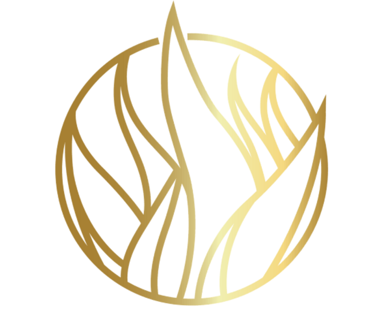 Logo for cardStoreLogo img-fluid: Zacate
