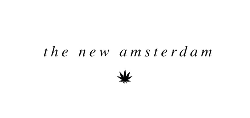 Logo for cardStoreLogo img-fluid: The New Amsterdam