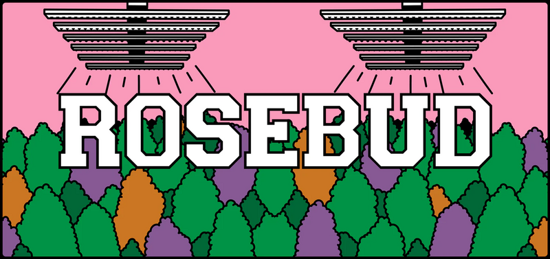 Logo for cardStoreLogo img-fluid: Rosebud Growers Cannabis Shop