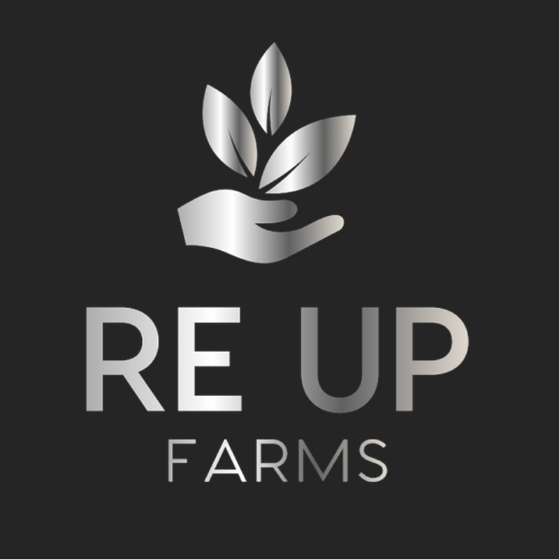 Logo for userEditLogo: ReUp