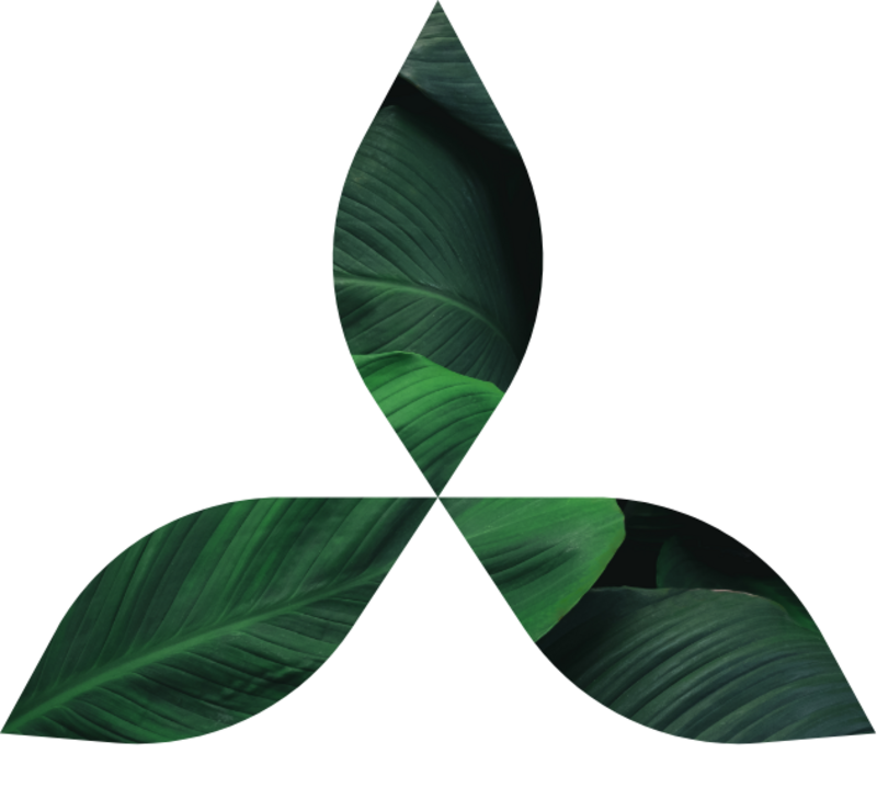 Logo for userEditLogo: Trinity Cannabis