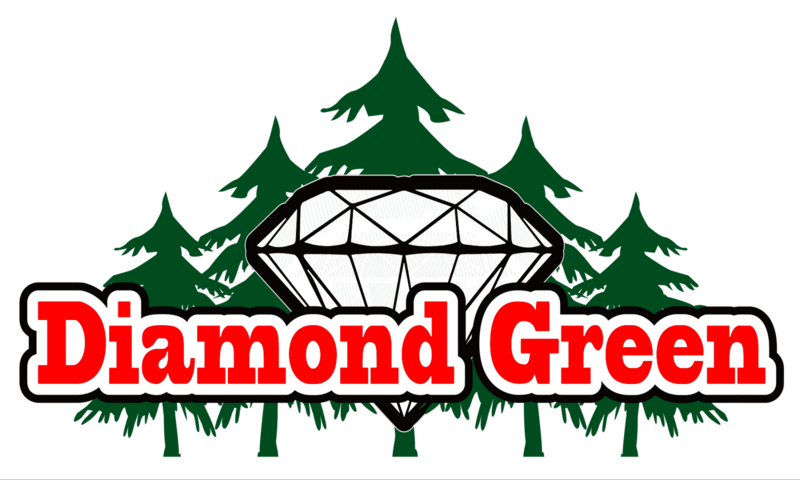 Logo for userEditLogo: Diamond Green Tacoma
