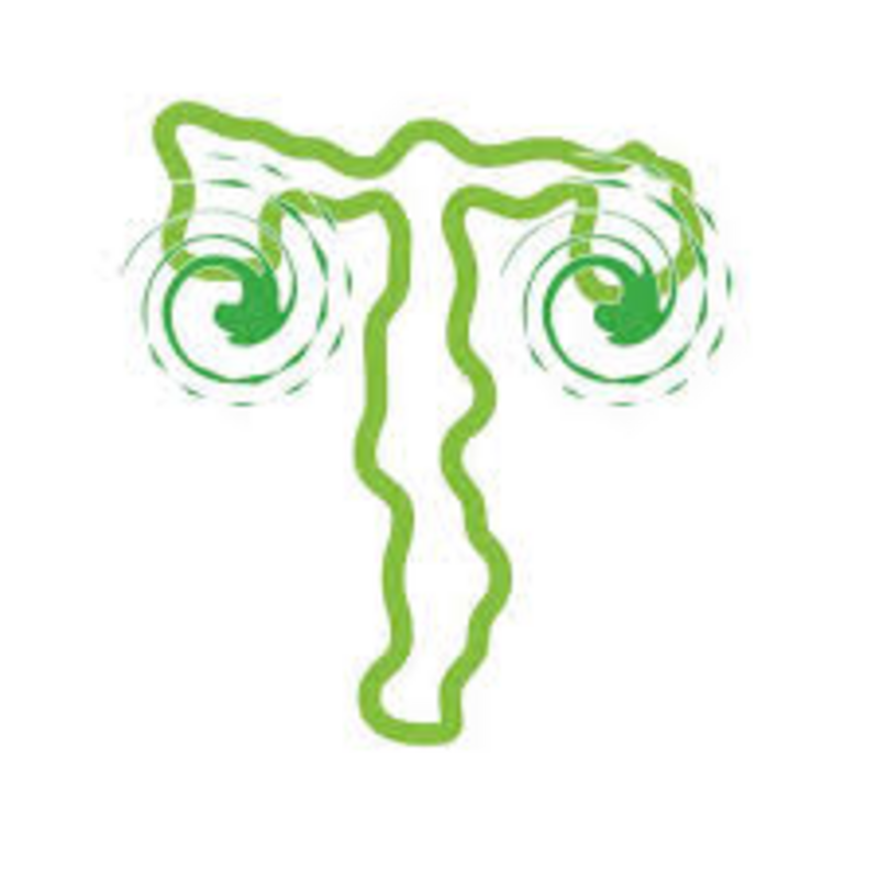 Logo for storeLogo: TERP