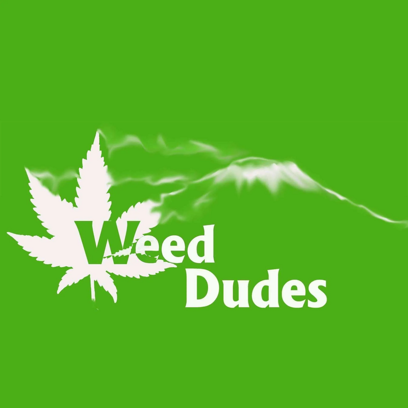 Logo for card-img-top placeholder-glow cardTopImage: Weed Dudes