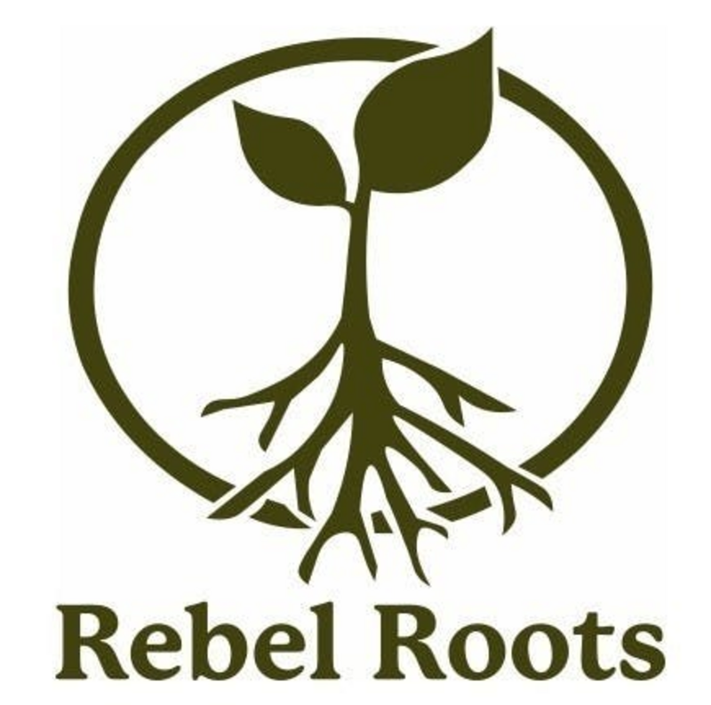 Logo for card-img-top placeholder-glow cardTopImage: Rebel Roots Gold Stream