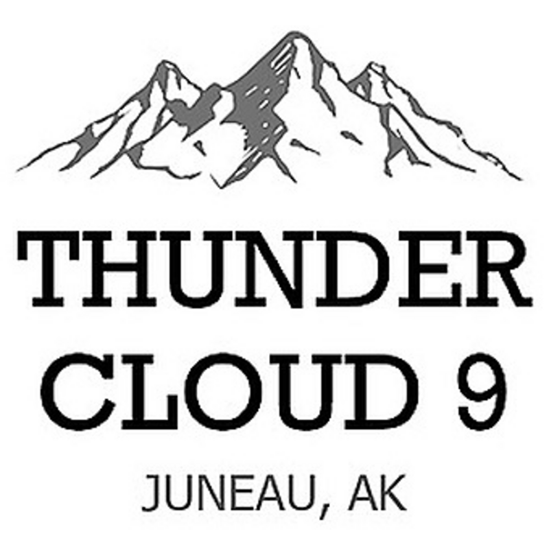 Logo for img-fluid: Thunder Cloud 9