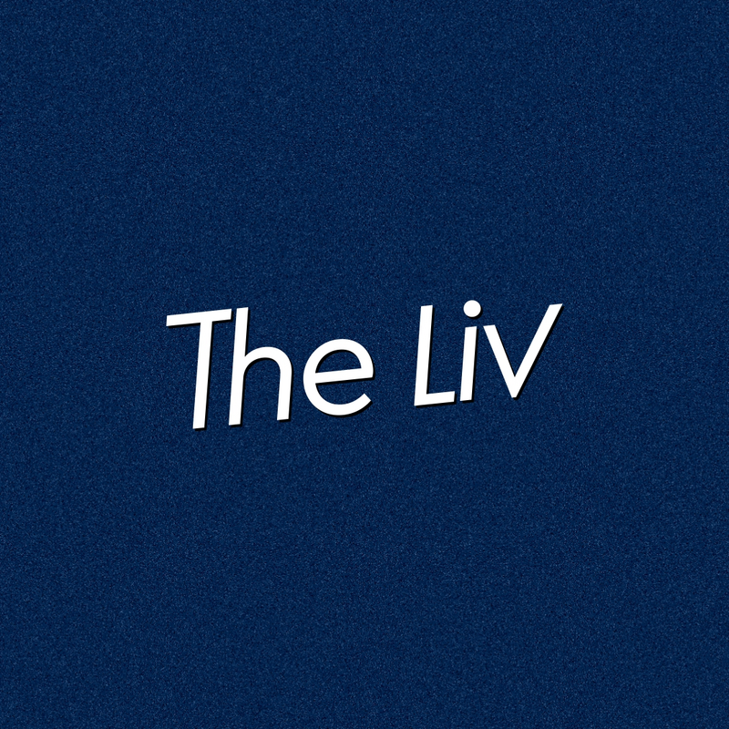 Logo for card-img-top placeholder-glow cardTopImage: The Liv Putnam
