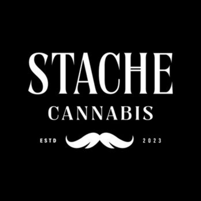 Logo for userEditLogo: Stache
