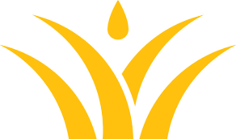 Logo for storeLogo: SweetGrass Dispensary