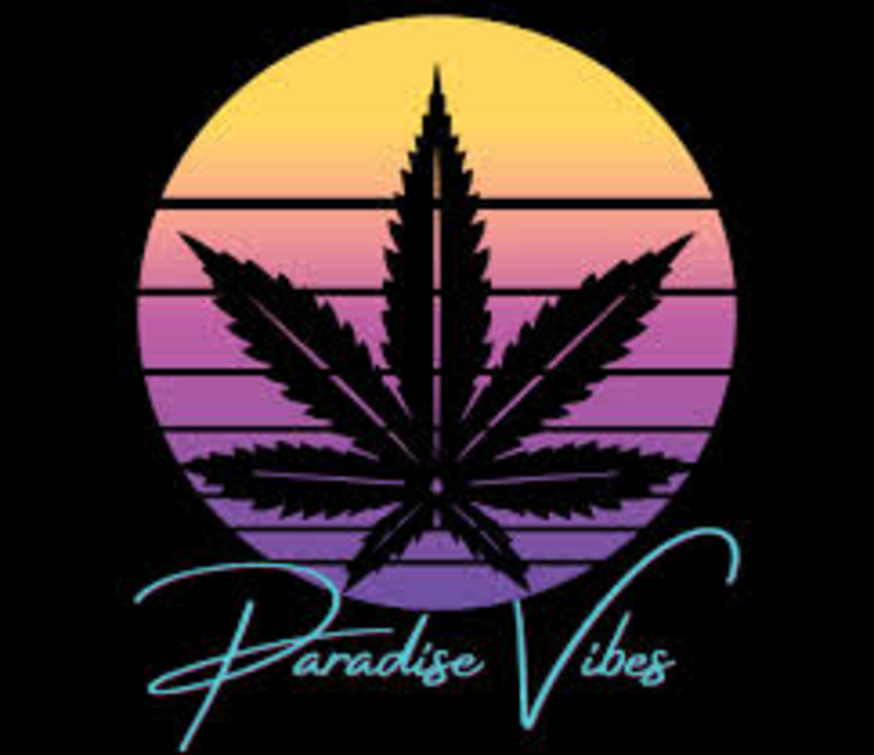 Logo for card-img-top placeholder-glow cardTopImage: Paradise Vibes