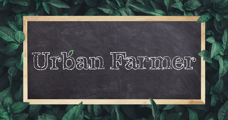 Logo for userEditLogo: Urban Farmer Boutique Dispensary
