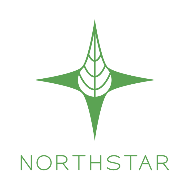 Logo for card-img-top placeholder-glow cardTopImage: Northstar Dispensary
